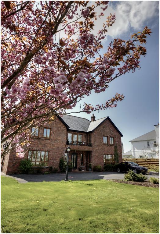 Oranhill Lodge Guesthouse Oranmore Zewnętrze zdjęcie