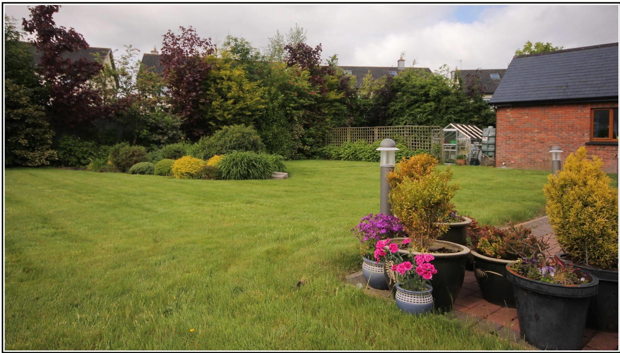 Oranhill Lodge Guesthouse Oranmore Zewnętrze zdjęcie